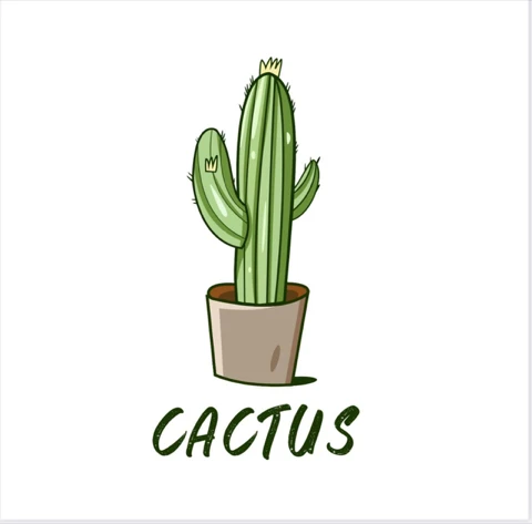 Cactus